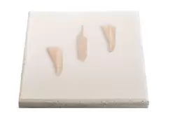 🍗 Frozen Chicken Breast Cartilage (Yagen) – Premium Brazilian Export