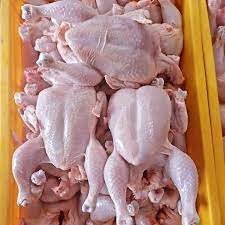 Frozen Whole Chicken Broiler – Premium Brazilian Export