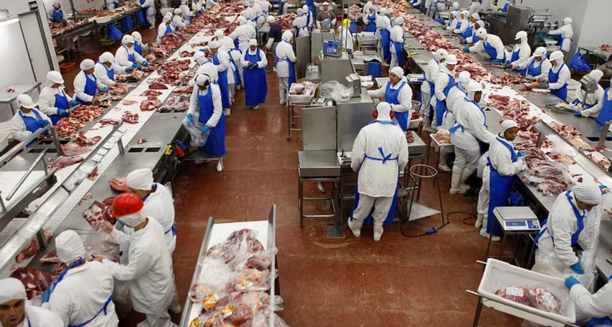 Step-by-Step Guide to Importing Frozen Chicken Worldwide: Everything You Need to Know