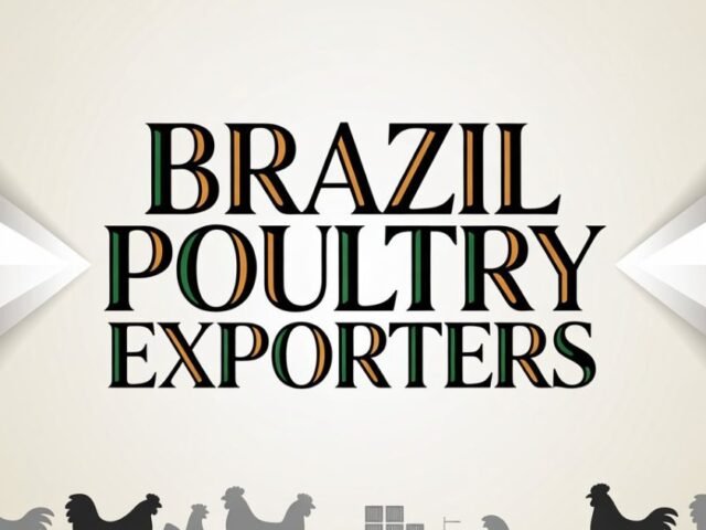 Brazil Chicken Exports: 50 Years of Global Leadership in the Poultry Industry